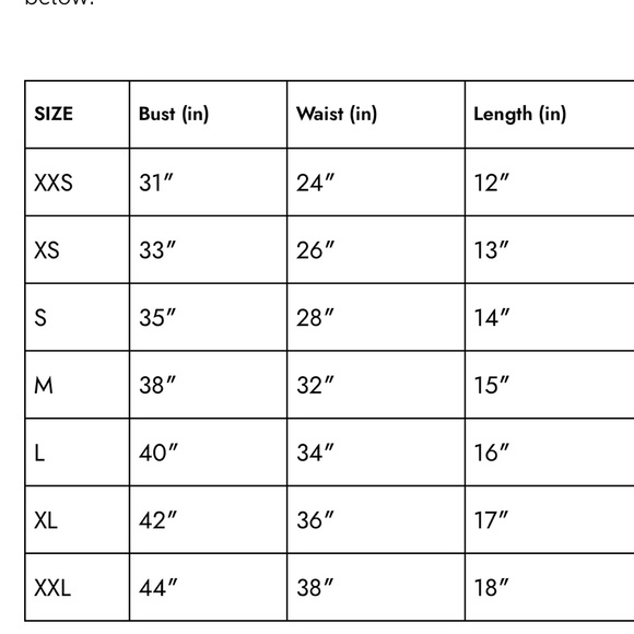 NWT Jia Blush Blouse - Picture 8 of 8